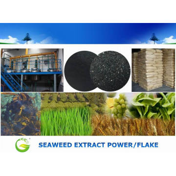 Органическое Био Удобрение Выдержки Seaweed